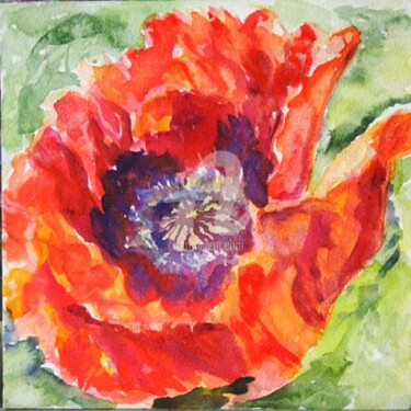 Regal Poppy