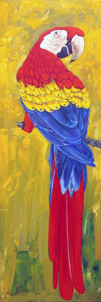 Painting titled "Grand Perroquet" by Alexandre Houllier, Original Artwork, Oil