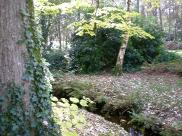 Photographie intitulée "Sous-bois" par Morgane A., Œuvre d'art originale