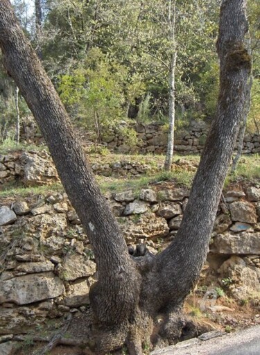 Photographie intitulée "HPIM0795.jpg" par Paule-Andree Maraval, Œuvre d'art originale
