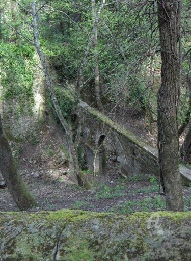 Photographie intitulée "HPIM0800.jpg" par Paule-Andree Maraval, Œuvre d'art originale