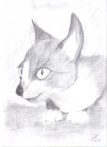 Desenho intitulada "gato" por Ricardo Silva, Obras de arte originais