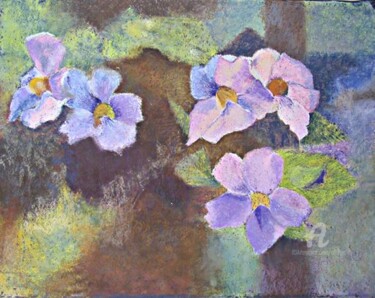 fleurs de poivrier2