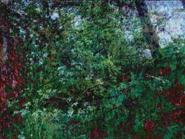 Painting titled "magic flowers" by Millenia Foxtrot (Shadow Zero), Original Artwork