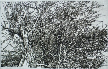 Printmaking titled "OLIVIER ET AUBEPINE…" by Michel Moskovtchenko, Original Artwork, Etching