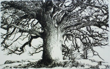 Printmaking titled "CHENE A MURS  Gravu…" by Michel Moskovtchenko, Original Artwork, Etching