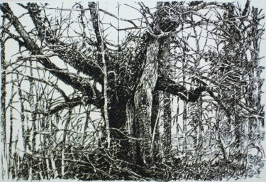 Printmaking titled "CHENE EN DORDOGNE…" by Michel Moskovtchenko, Original Artwork, Etching