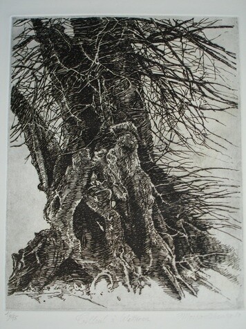 TILLEUL A WETTEREN I Gravure Printmaking titled "TILLEUL A WETTEREN…" by Michel Moskovtchenko, Original Artwork, Etching