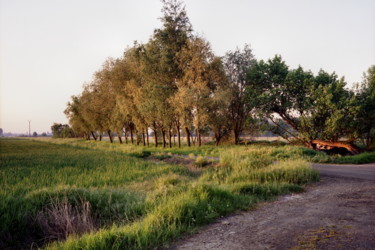 Coin de campagne