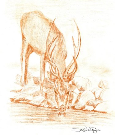 Dessin intitulée "Cervo.jpg" par Sérgio Vieira Da Silva - Sévis, Œuvre d'art originale
