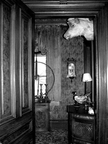 Photography titled "Hayes Street Head" by Angelo Di Pietrantonio, Original Artwork