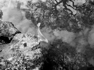 Photography titled "Koi Pond" by Angelo Di Pietrantonio, Original Artwork