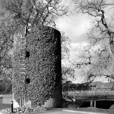 Photography titled "Tower" by Angelo Di Pietrantonio, Original Artwork