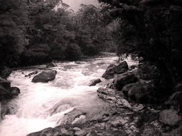 Photography titled "Running Stream" by Angelo Di Pietrantonio, Original Artwork