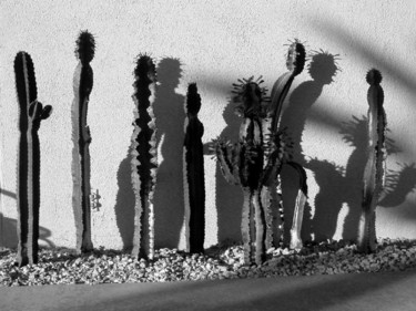 Photography titled "Cactus Walk" by Angelo Di Pietrantonio, Original Artwork
