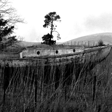 Photography titled "Old Ship with Tree" by Angelo Di Pietrantonio, Original Artwork