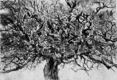 Printmaking titled "GRAND CHENE BLANC" by Michel Moskovtchenko, Original Artwork, Etching