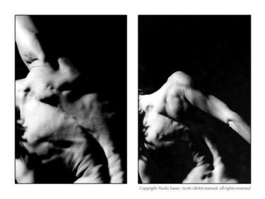 Fotografia intitolato "Dittico / Dyptich-1" da Paolo Sasso, Opera d'arte originale