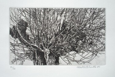 Printmaking titled "LE PETIT MURIER" by Michel Moskovtchenko, Original Artwork, Etching