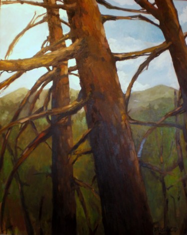 Painting titled "PAISAJE DE SERRABRA…" by Alexander Leal Cid, Original Artwork, Oil