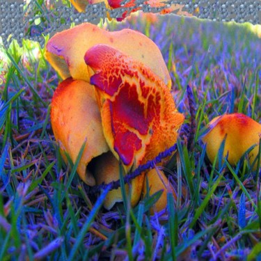 Digital Arts titled "Church Flower" by Angelo Di Pietrantonio, Original Artwork
