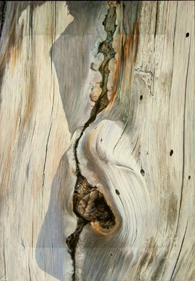 Pittura intitolato "CURVE" da Alessandro Crini, Opera d'arte originale