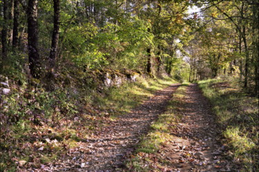 Chemin d'automne.