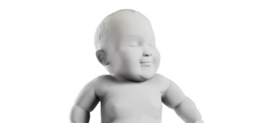 King Solomon’s Baby : het kunstwerk dat je letterlijk kunt kopen… in stukken