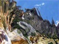Photographie intitulée "Alpages" par Philippe Darrigan, Œuvre d'art originale, Photographie non manipulée