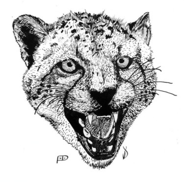 Drawing titled "Cheetah" by Davo, Original Artwork