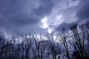 Fotografia intitolato "cielo di roma" da Isabella Cavallaro, Opera d'arte originale
