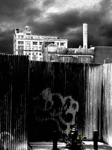 Photography titled "don't need much, ju…" by Andre Van Der Kerkhoff, Original Artwork