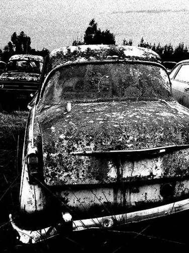 Photography titled "when time grows lic…" by Andre Van Der Kerkhoff, Original Artwork