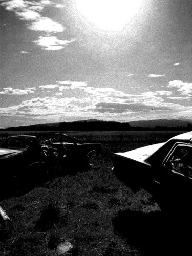 Photography titled "not grazing, just g…" by Andre Van Der Kerkhoff, Original Artwork
