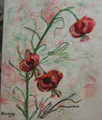 Peinture intitulée "Lys de pomponne" par Josette Bourgeois, Œuvre d'art originale