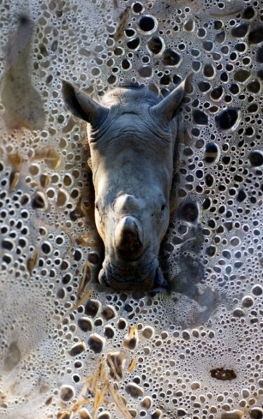 Fotografia intitolato "Natura violata" da Angelo Mazzoleni, Opera d'arte originale, Fotografia digitale
