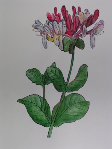 Peinture intitulée "Chèvrefeuille" par Ghyslaine De Sevlian, Œuvre d'art originale, Huile