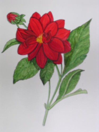 Peinture intitulée "dalhia double" par Ghyslaine De Sevlian, Œuvre d'art originale, Huile