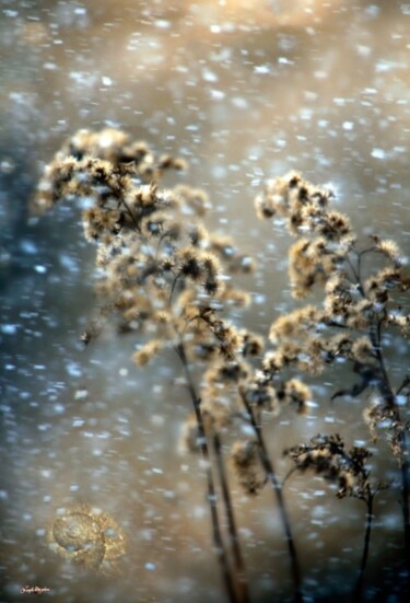 Fotografia intitolato "inverno" da Angelo Mazzoleni, Opera d'arte originale