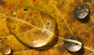 Photographie intitulée "0051R3.jpg" par Chantal Gagné, Œuvre d'art originale