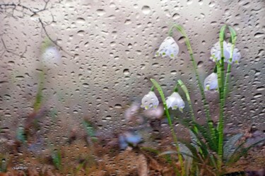 Fotografia intitolato "Oltre la pioggia" da Angelo Mazzoleni, Opera d'arte originale