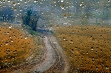 Fotografia intitolato "Sulla strada" da Angelo Mazzoleni, Opera d'arte originale