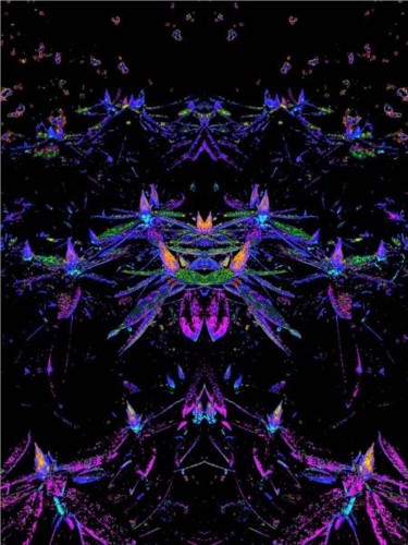 Digital Arts titled "blacklight style" by Chris Lee, Original Artwork