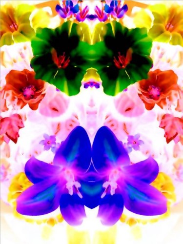 Digital Arts titled "flowers on white ba…" by Chris Lee, Original Artwork