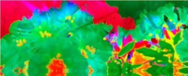 Digital Arts titled "red green" by Chris Lee, Original Artwork