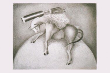 Desenho intitulada "ruade" por Ludovic Burggraeve, Obras de arte originais