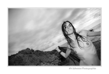 Photographie intitulée "Dans le vent" par Christian Sylvestre, Œuvre d'art originale