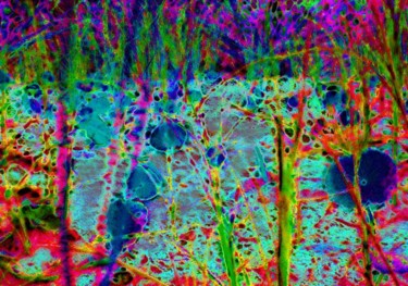 Digital Arts titled "SandFlower" by Angelo Di Pietrantonio, Original Artwork, Digital Painting