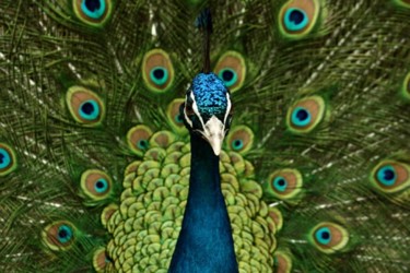 Photographie intitulée "IMG_0057_copie.jpg" par Gleisner, Œuvre d'art originale