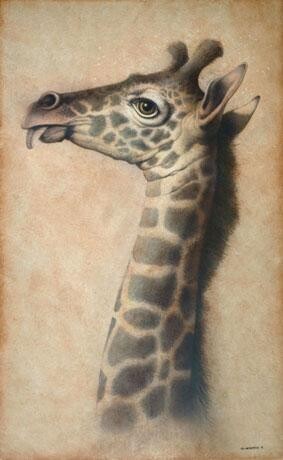 Painting titled "Di-Maccio" by Gérard Di-Maccio, Original Artwork, Oil